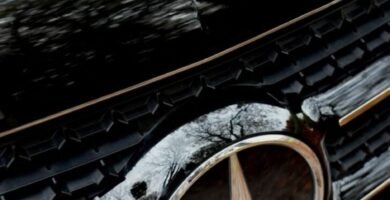Mercedes-Benz Classe V em destaque