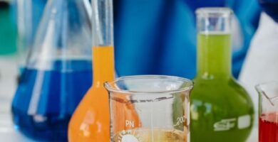Evento sobre biocombustíveis em Campinas